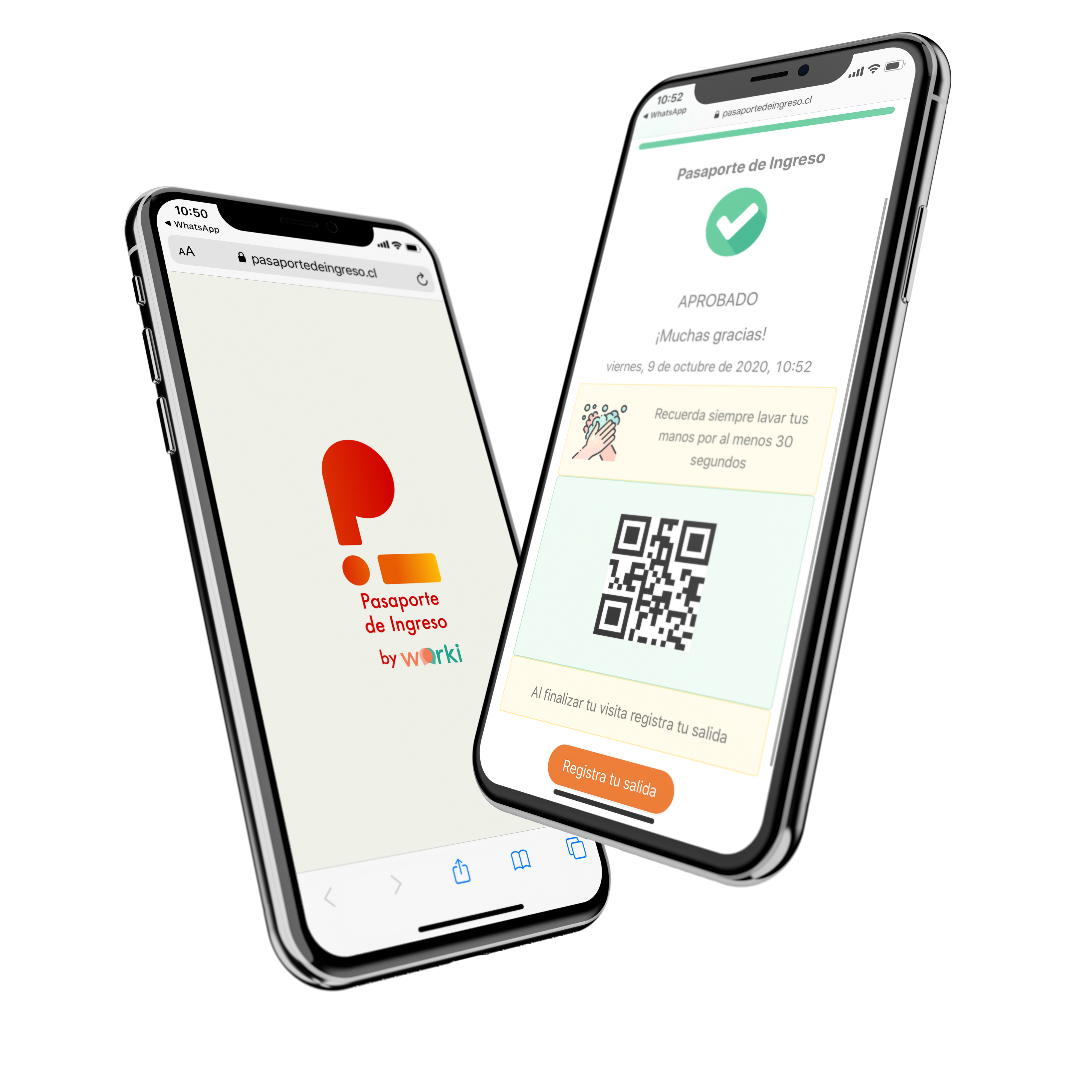 Pasaporte de ingreso Pasaporte de ingreso